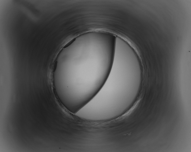 X0000099581001200805160742