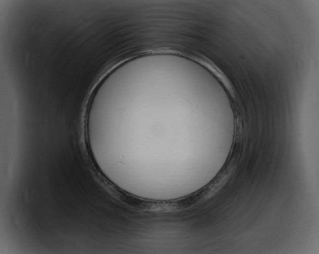 X0000099581002200805160742