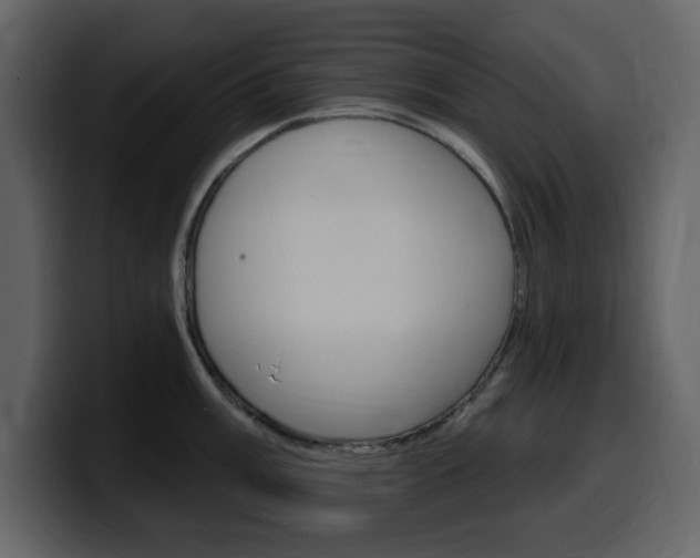 X0000099581003200805160742