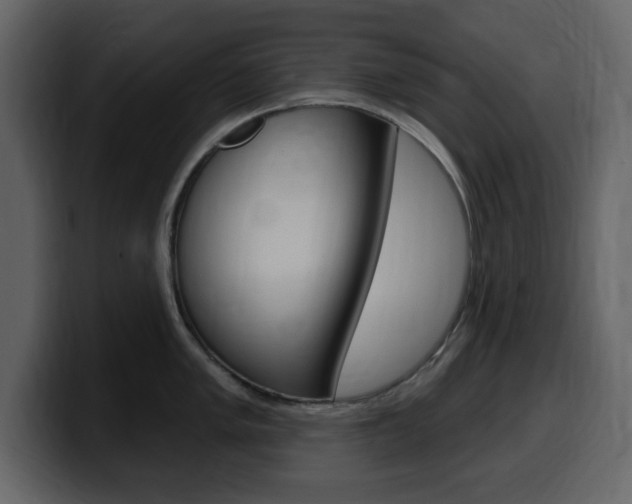 X0000099581005200805160742