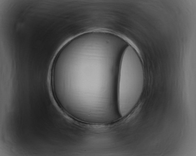 X0000099581007200805160742