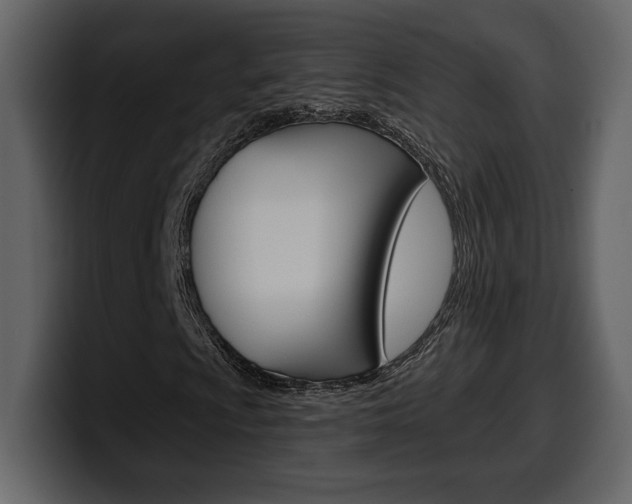 X0000099581009200805160741