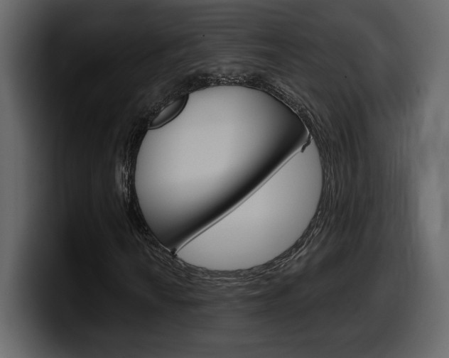 X0000099581010200805160741