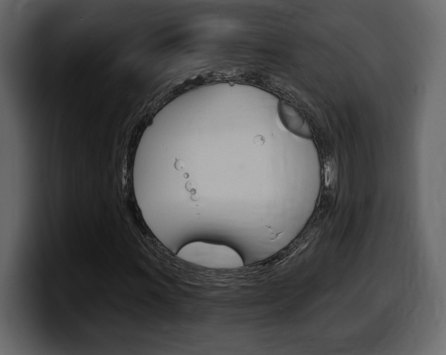 X0000099581011200805160741