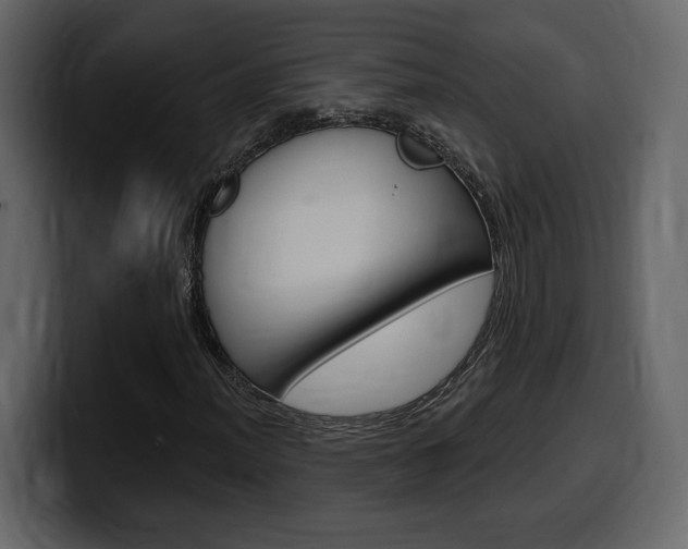 X0000099581012200805160741