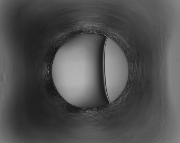 X0000099581013200805160741