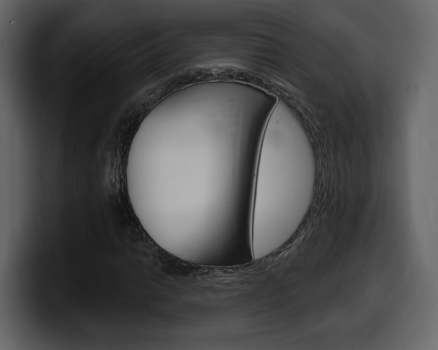 X0000099581014200805160741