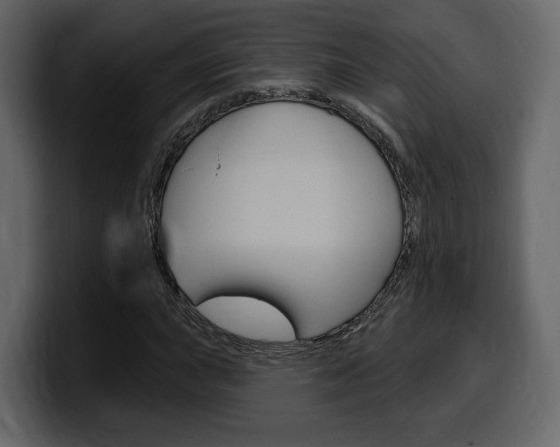 X0000099581015200805160741