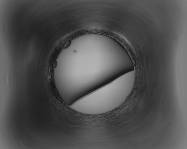 X0000099581016200805160741