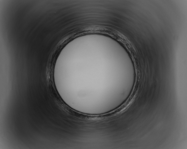 X0000099581017200805160741