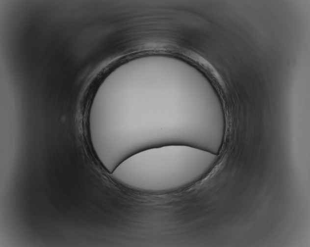 X0000099581019200805160741