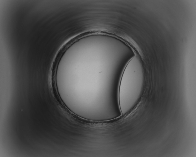 X0000099581020200805160741