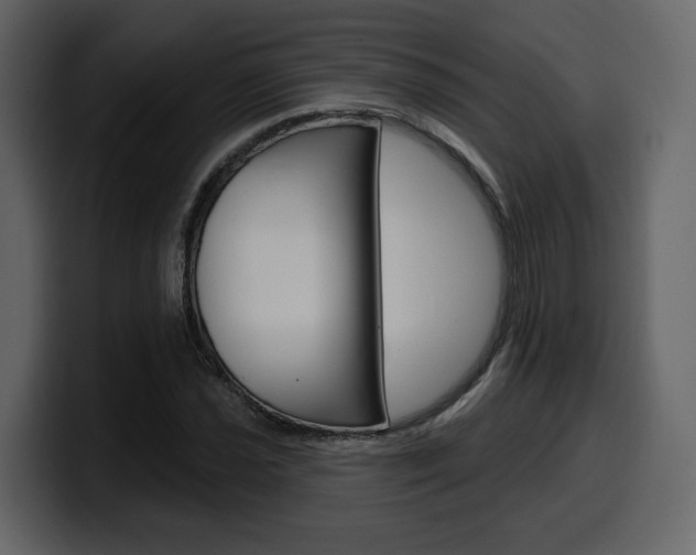 X0000099581021200805160741