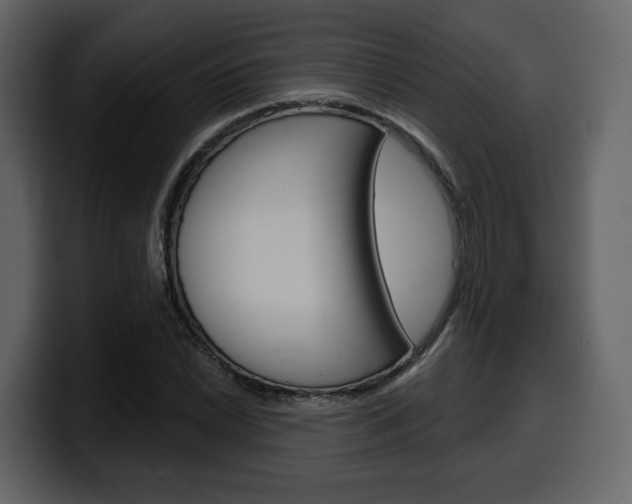X0000099581022200805160741