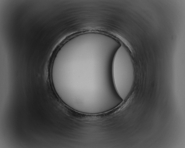 X0000099581023200805160741