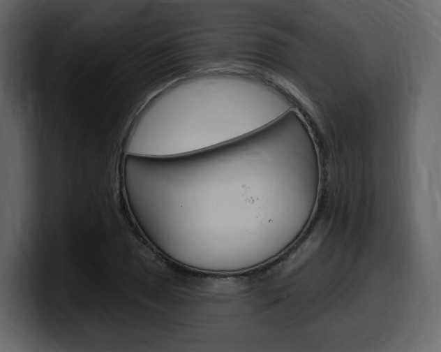 X0000099581025200805160741