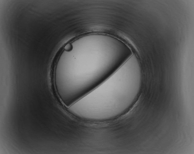 X0000099581026200805160742