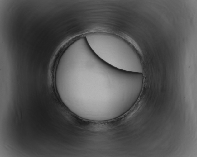 X0000099581027200805160742