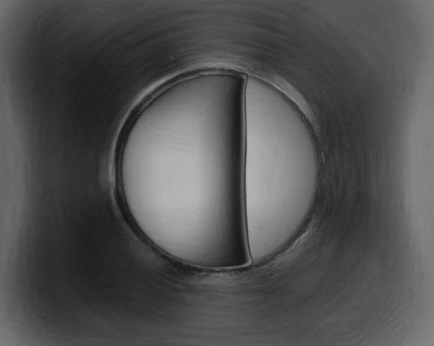 X0000099581028200805160742