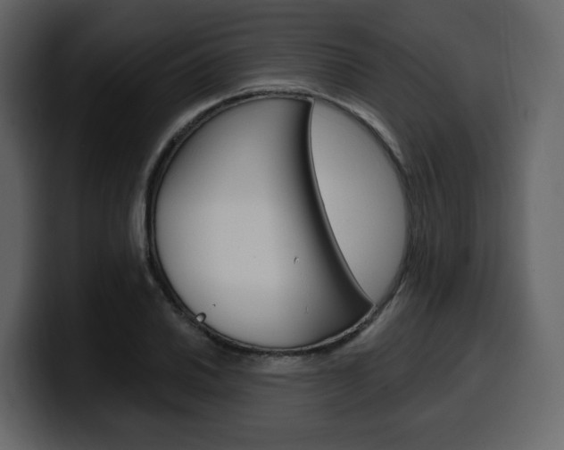 X0000099581030200805160742