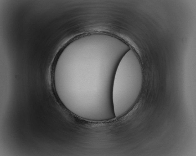 X0000099581031200805160742