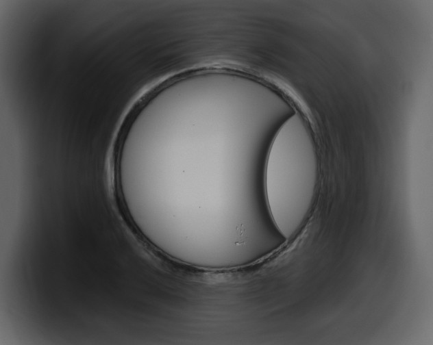 X0000099581032200805160742