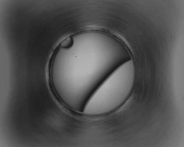 X0000099581034200805160742