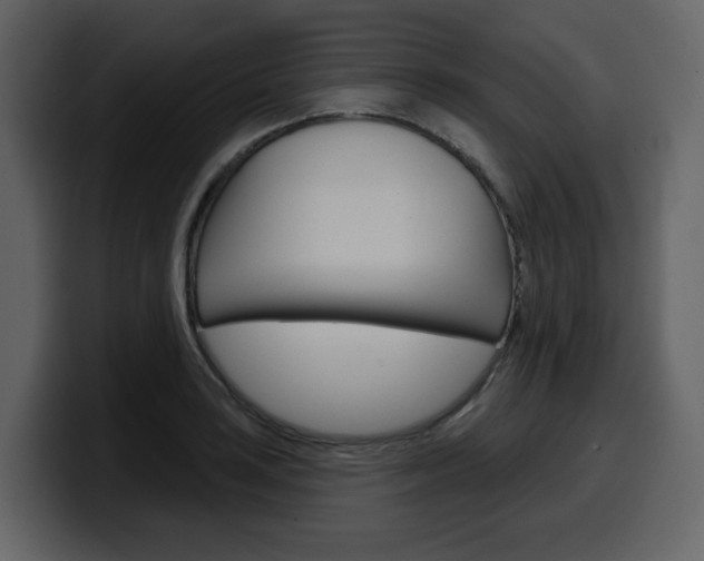 X0000099581035200805160742