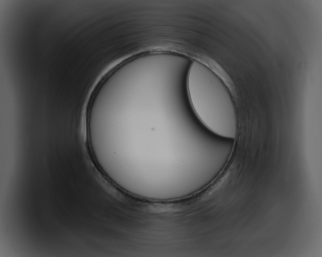 X0000099581036200805160742