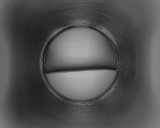 X0000099581037200805160742
