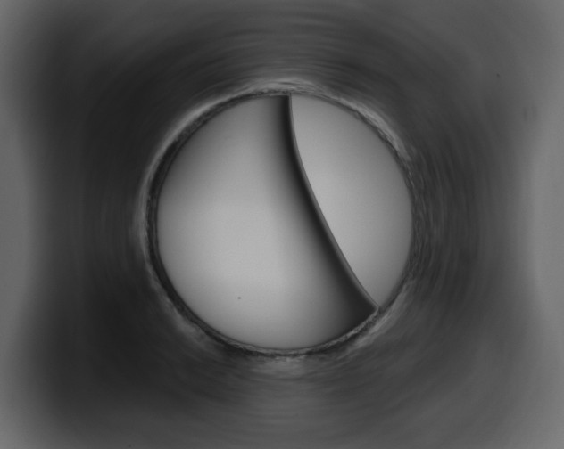 X0000099581038200805160742