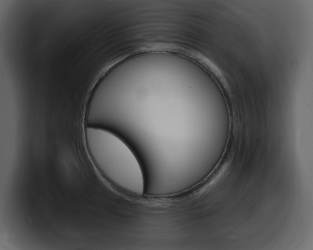 X0000099581041200805160742