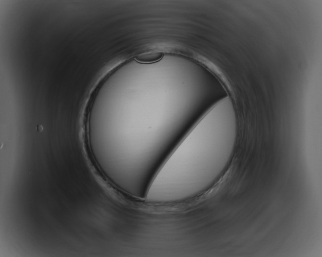 X0000099581042200805160742