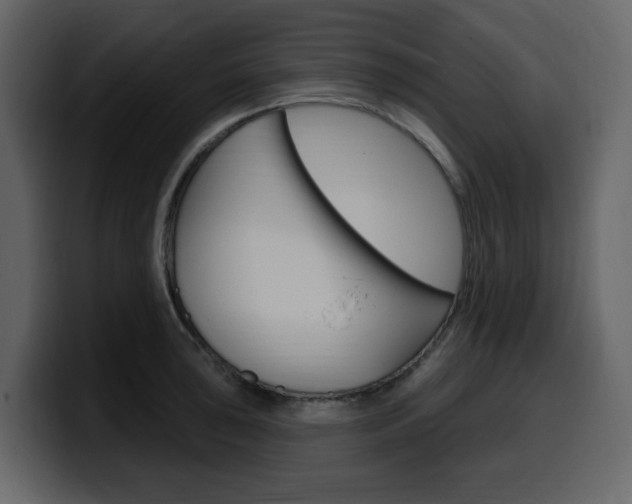 X0000099581043200805160742