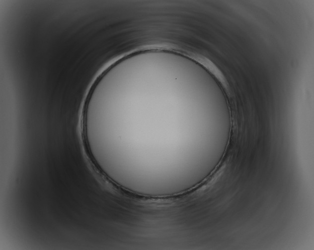 X0000099581044200805160742