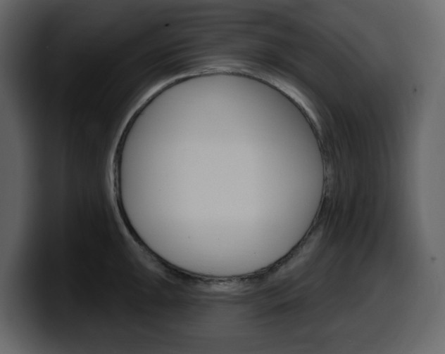 X0000099581047200805160742