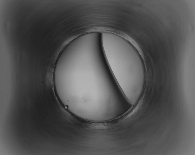 X0000099581049200805160742