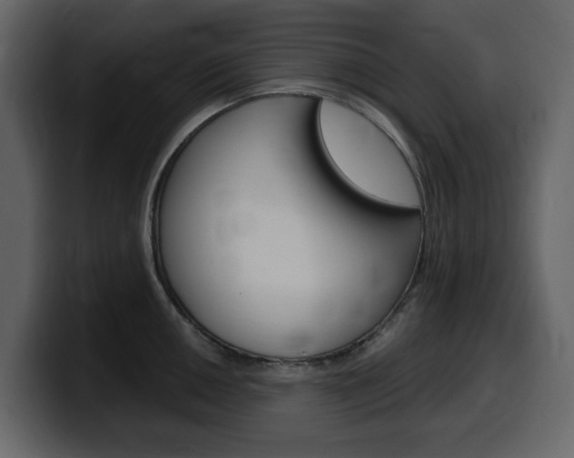 X0000099581050200805160742