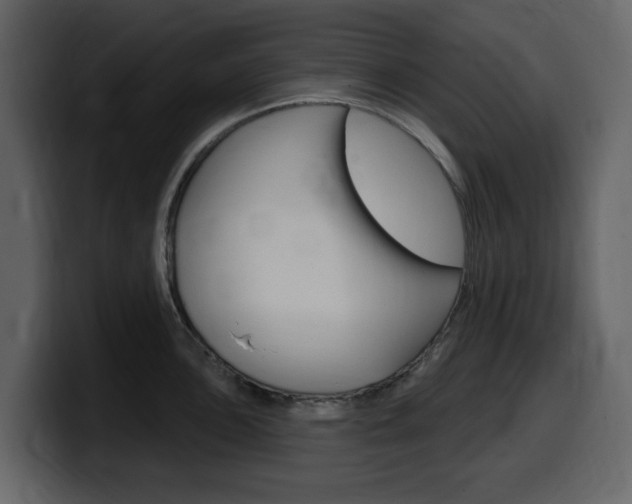 X0000099581051200805160742