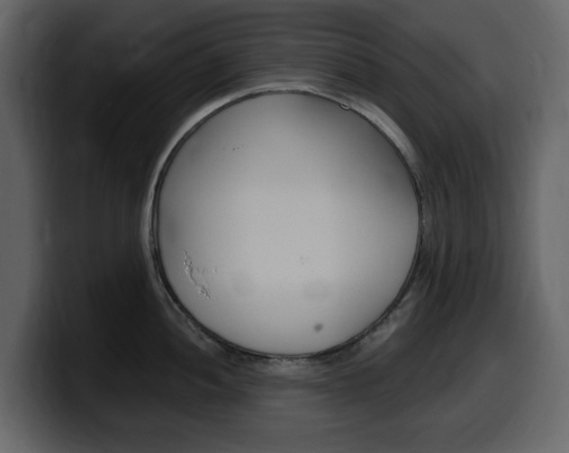 X0000099581052200805160742