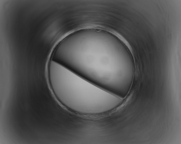 X0000099581053200805160742