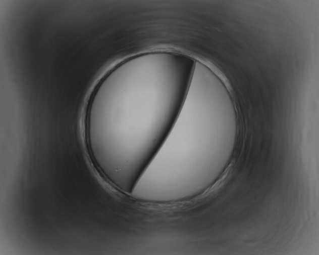 X0000099581054200805160742
