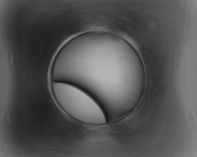 X0000099581056200805160742