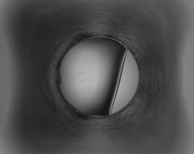 X0000099581057200805160741