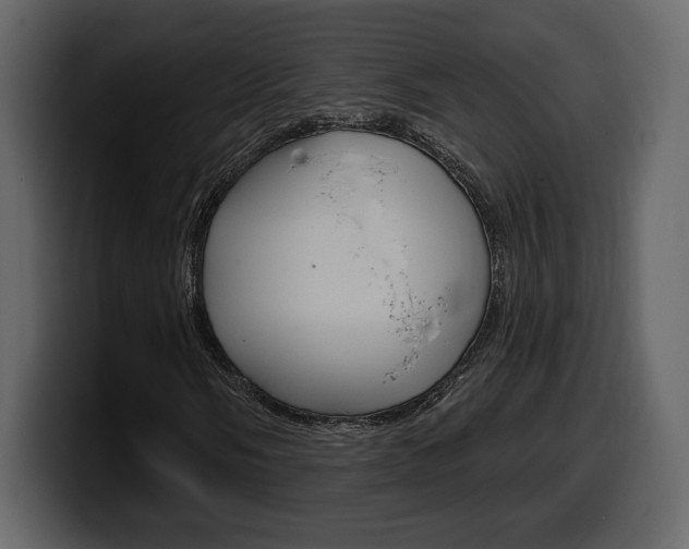 X0000099581058200805160741