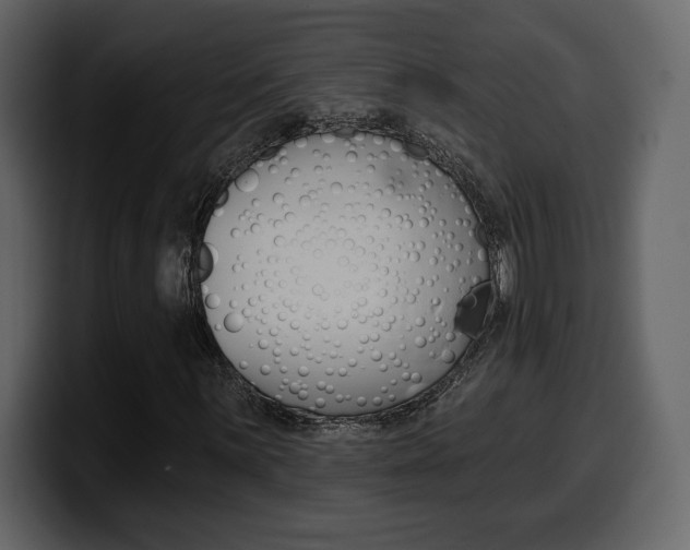 X0000099581059200805160741