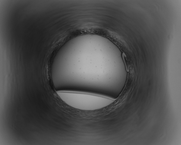 X0000099581060200805160741