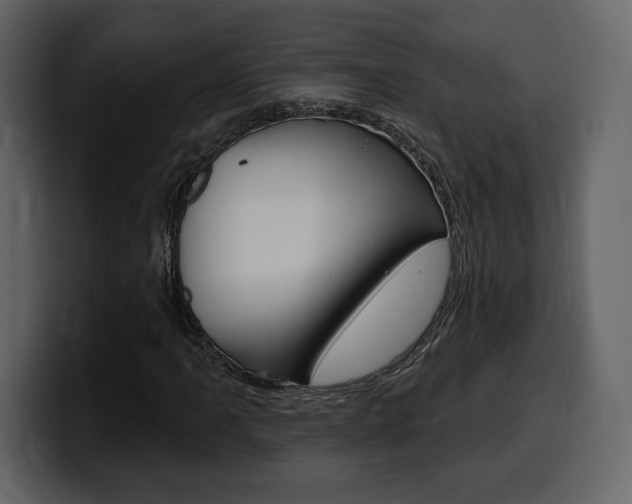 X0000099581061200805160741