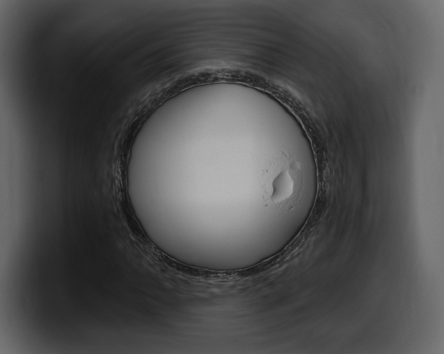 X0000099581062200805160741