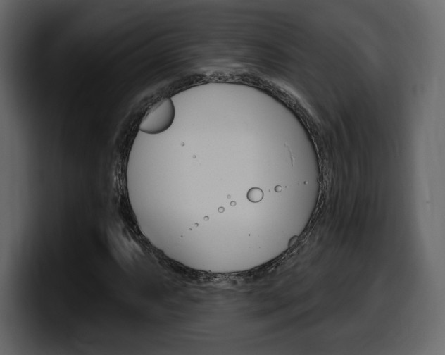 X0000099581063200805160741